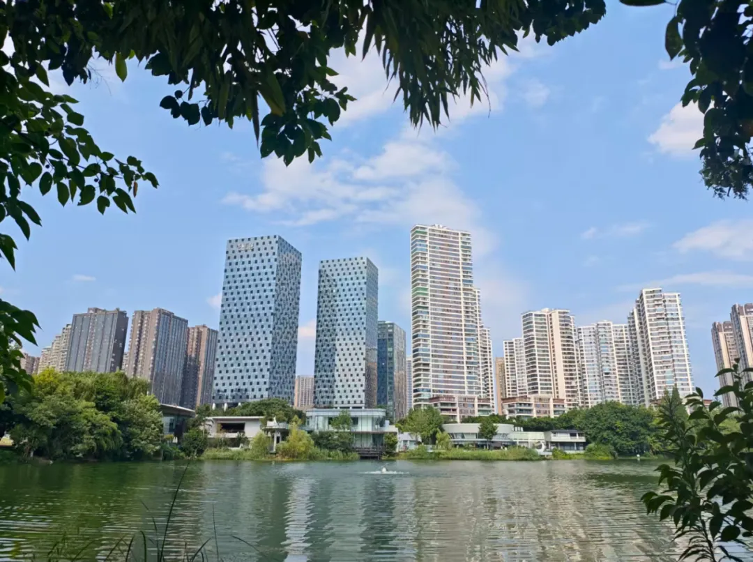 每日经济新闻资料图